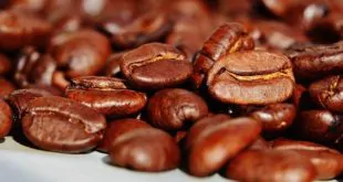 grãos de café, relacionado a benefício cardiovascular
