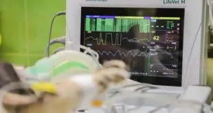 Dessaturação cerebral de oxigênio após cirurgia cardíaca