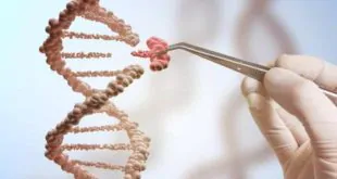 Farmacogenética: adequando os medicamentos aos genes