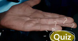 quiz