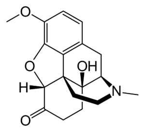 Molécula de oxicodona