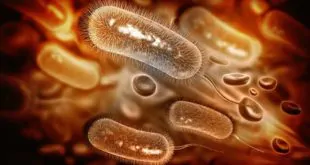 sepse e multirresistência microbiana