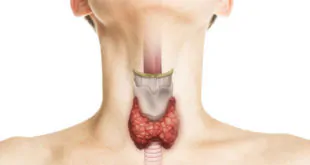 tireoide