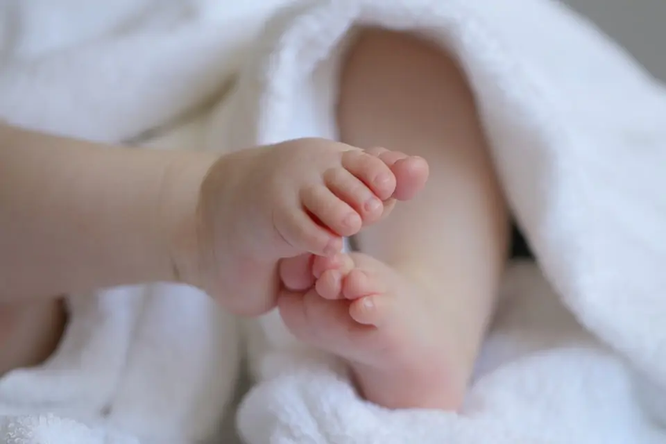 Programa Nacional de Triagem Neonatal